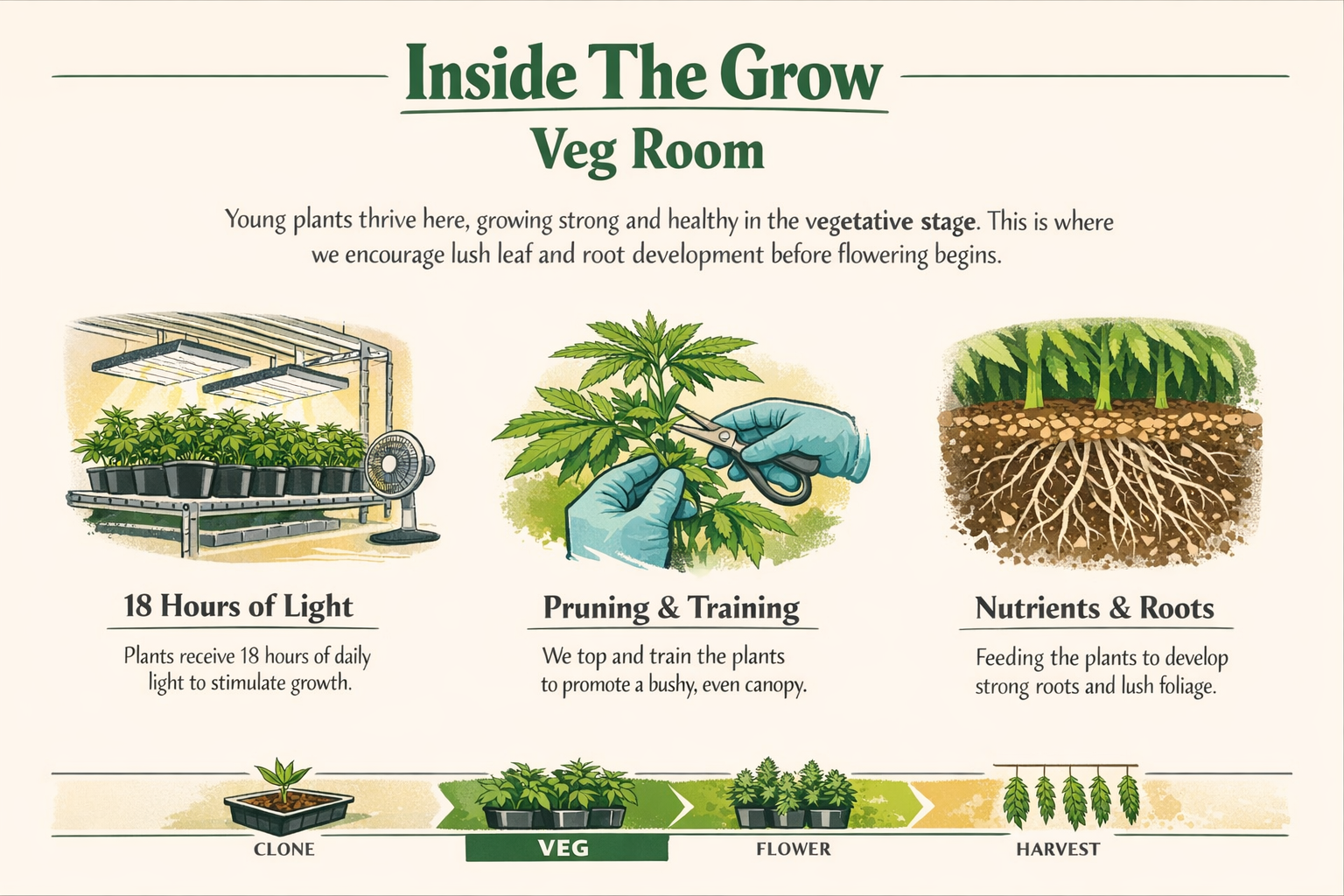 Inside the Grow poster gallery image 3 at Trailhead Cannabis Company